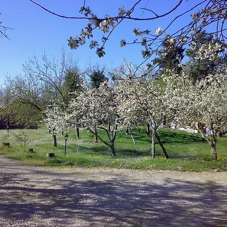 Fonteverdi